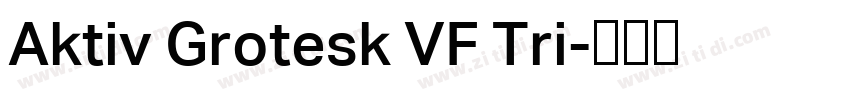 Aktiv Grotesk VF Tri字体转换